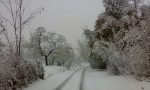Allerta neve a Acqui Terme: scuole chiuse e treni cancellati