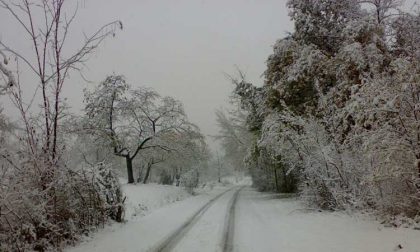 Allerta neve a Acqui Terme: scuole chiuse e treni cancellati