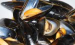 Cozze spagnole contaminate da salmonella: allarme in Italia