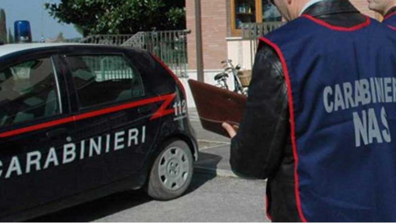 Topi nel pastificio ad Alba: chiuso dai Nas di Alessandria