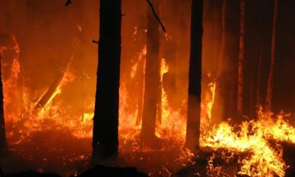 Massima pericolosità per gli incendi boschivi in Piemonte