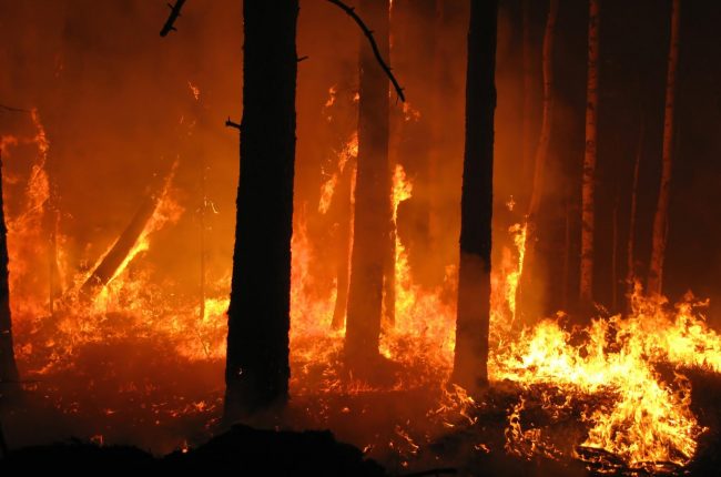 Massima pericolosità per gli incendi boschivi in Piemonte