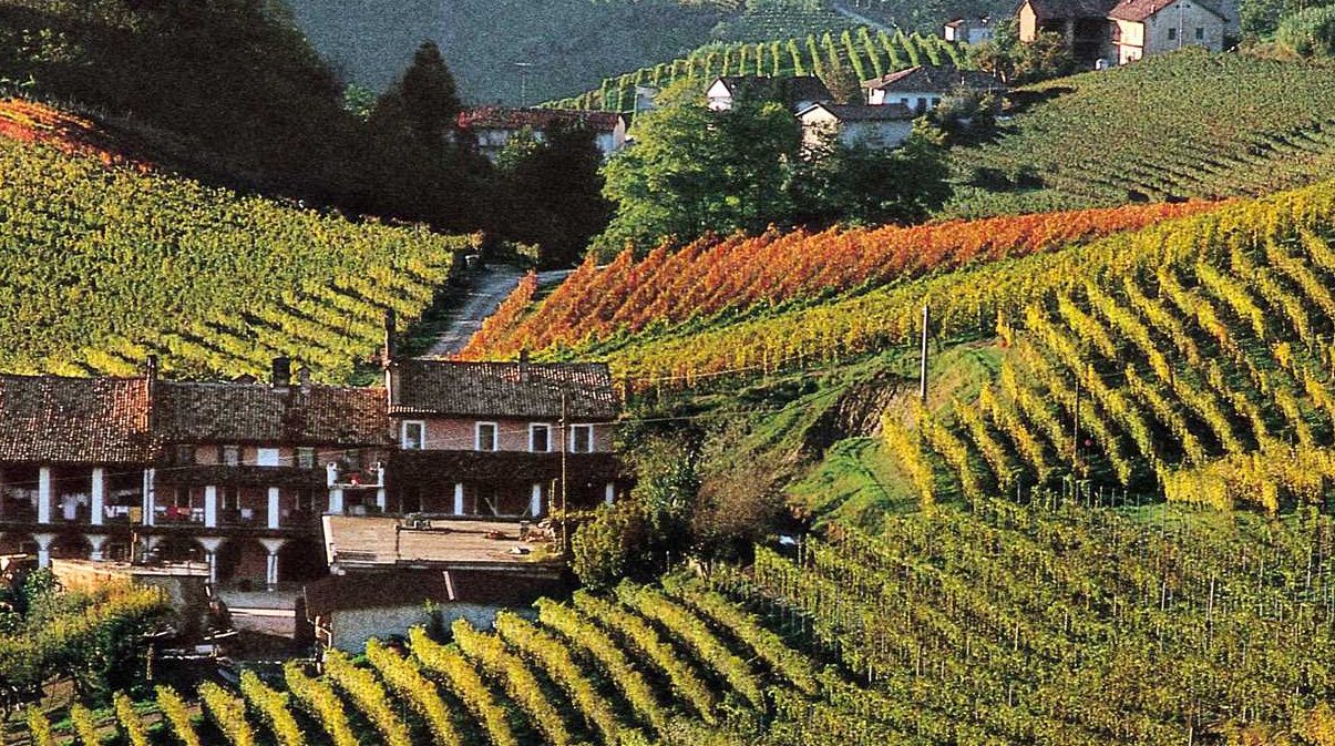 Danimarca e Norvegia, due paesi strategici per i vini del Piemonte