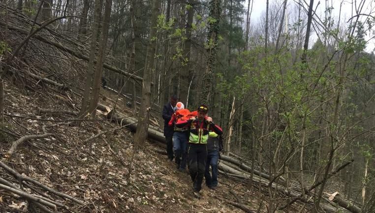 Venasca, boscaiolo muore travolto da un albero