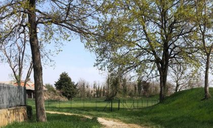 Uno spazio per i cani in via Rottigni