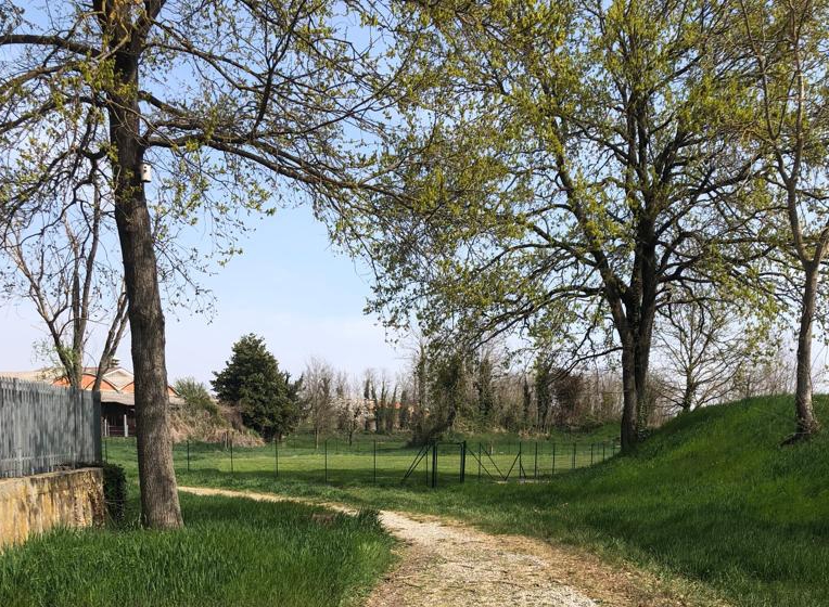 Uno spazio per i cani in via Rottigni
