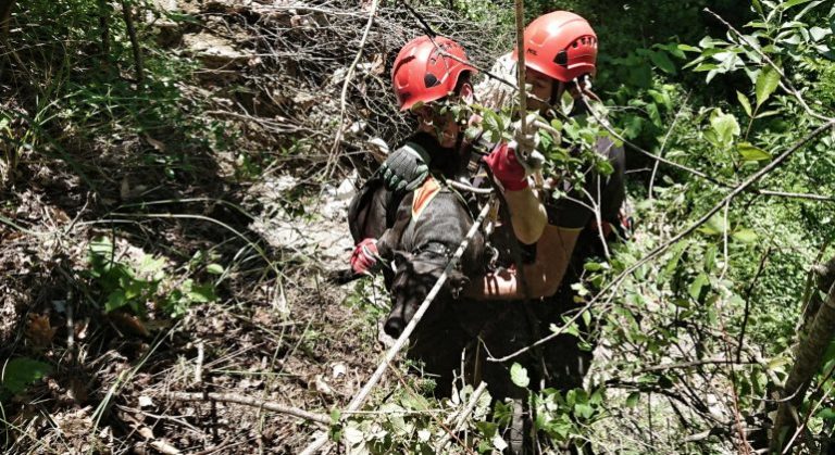 Vigili del fuoco salvano due cani caduti in un dirupo