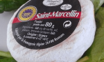 Escherichia coli nel formaggio francese: segnalate intossicazioni