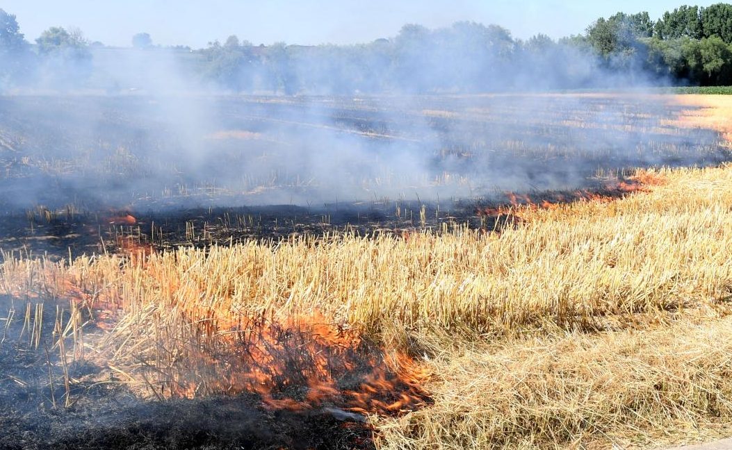 A fuoco due campi di grano in provincia di Alessandria