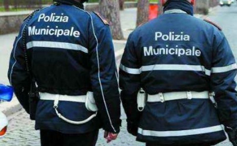 Lascia il cane in auto e va a fare la spesa