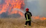 Vanno a fuoco 2.000 quintali di legna: Vigili del Fuoco al lavoro tutta la notte