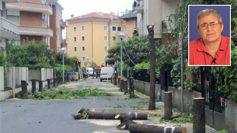 Stragi di alberi per far passare il 5G? Segnalati casi anche in zona | VIDEO