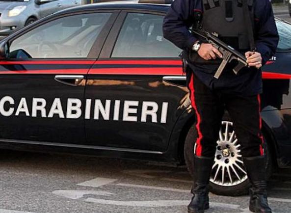 Maltratta animali, denunciato