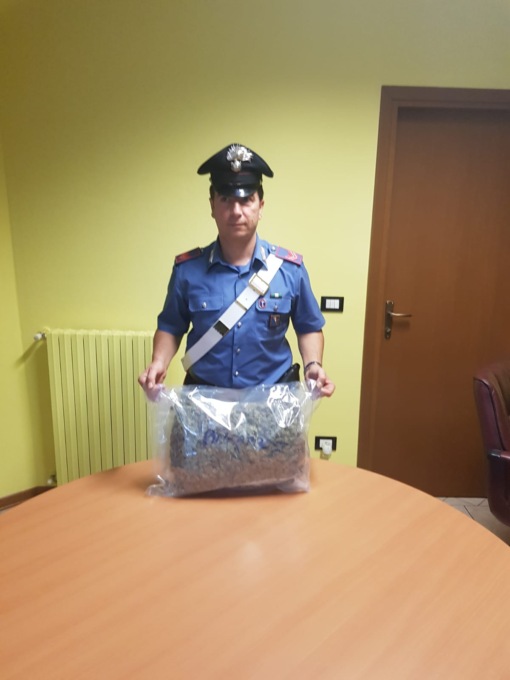 Alpignano, un arresto per detenzione di sostanze stupefacenti