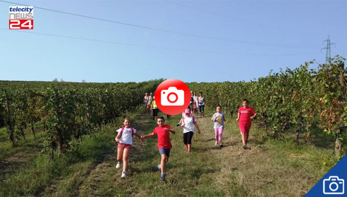 “Quattro passi tra i nostri vini” a San Giorgio Monferrato