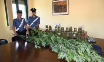 Acqui Terme, arrestato per coltivazione di marijuana