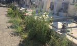 Con 130mila euro ad Alessandria sparisce la giungla da marciapiedi e cimiteri