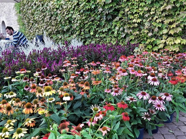 Successo di pubblico per la prima edizione di Floracqui (FOTO)