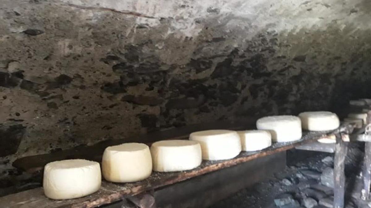 Formaggi a latte crudo, Protopapa su linee guida del Ministero: “A rischio i piccoli produttori”