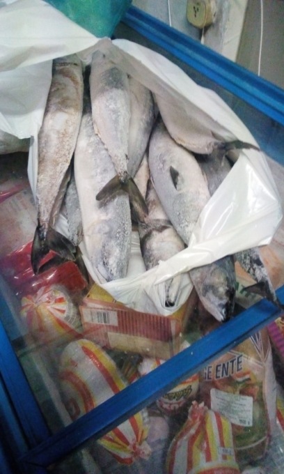 Torino, sequestrati alimenti in un minimarket