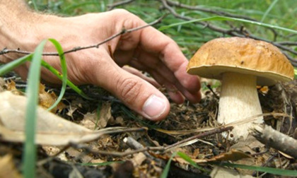 Cumiana, trovato morto 67enne cercatore di funghi