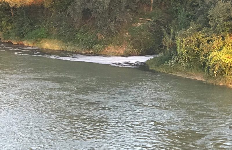 Depuratore degli Orti, lavori in corso cresce la puzza e nel Tanaro scorre la schiuma