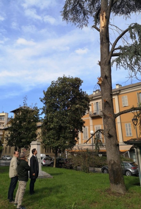 Casale annuncia un piano di verifica ripiantumazione a larga scala