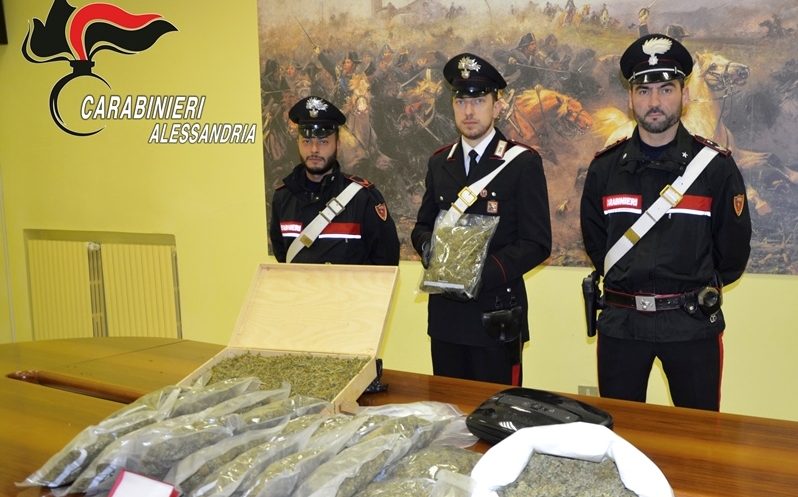 Agronomo con l’hobby della coltivazione di droga. Aveva allestito una serra