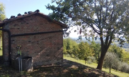 Trekking sui sentieri del Tartufo nel Monferrato