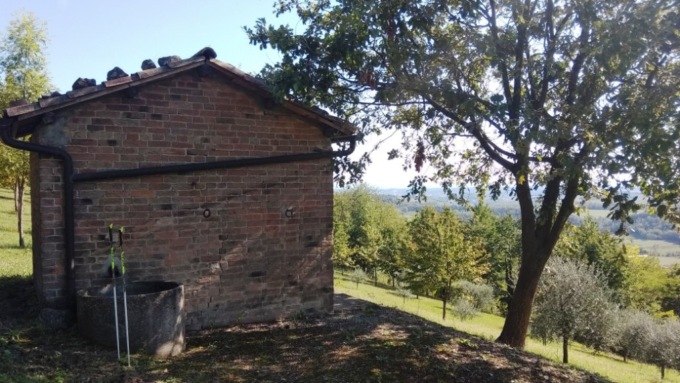 Trekking sui sentieri del Tartufo nel Monferrato