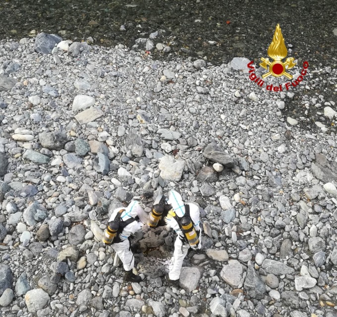 Genova: rimossa carcassa cinghiale nel fiume Cerusa