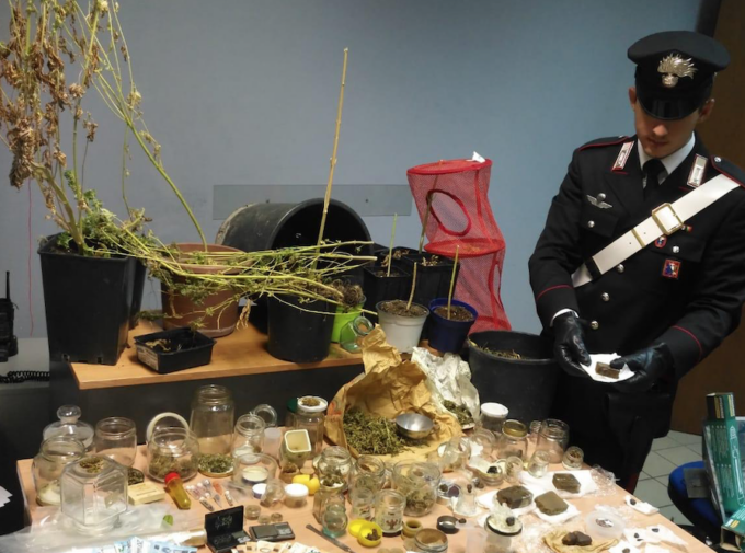 Torino: giardiniere pusher coltivava droga bio in casa, arrestato dai carabinieri
