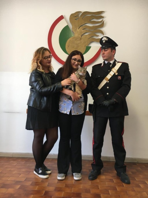 Torino: trova gatto e chiede un riscatto, i Carabinieri arrestano estortrice