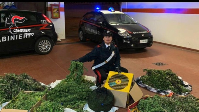 Cinzano: coltivavano marijuana in area di un maneggio, due arresti
