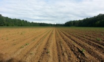 "Io lavoro in Agricoltura": un'iniziativa della Regione Piemonte