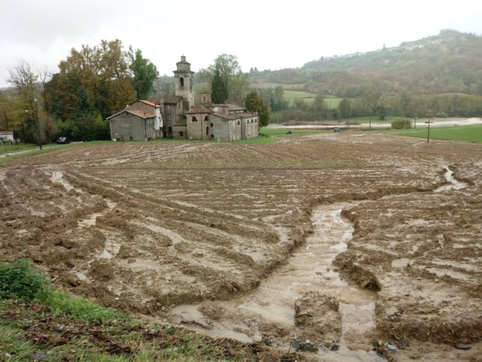 Il problema delle semine alessandrine di pianura