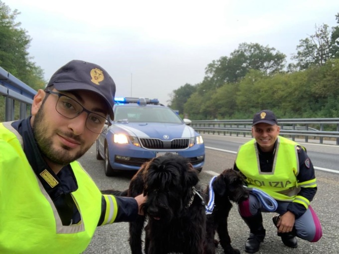 La Polstrada di Alessandria salva due cani sulla A21