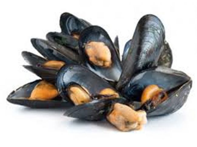 Allerta: vongole con escherichia coli, pericoli anche da cozze