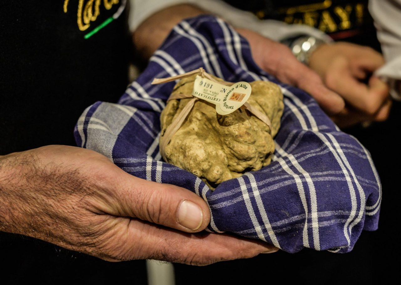 Fiera Internazionale Tartufo d’Alba apre oggi