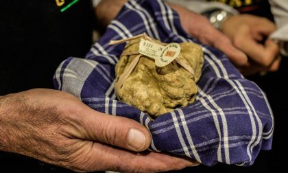 Fiera Internazionale Tartufo d'Alba apre oggi