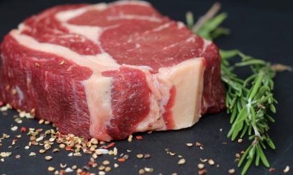 La carne rossa non fa male, soprattutto se è di razza Piemontese