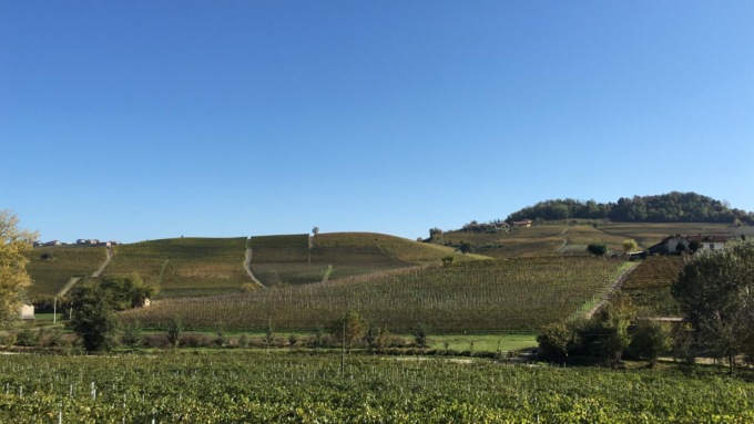 Langhe Monferrato e Roero: bilancio in attivo