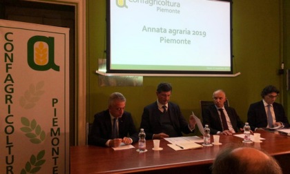 Annata agraria 2019-2020 l'analisi di Confagricoltura