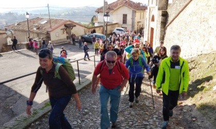 Murisengo: trekking sui sentieri del tartufo