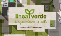 Sdegno per lo spot dedicato da Linea Verde al grano canadese