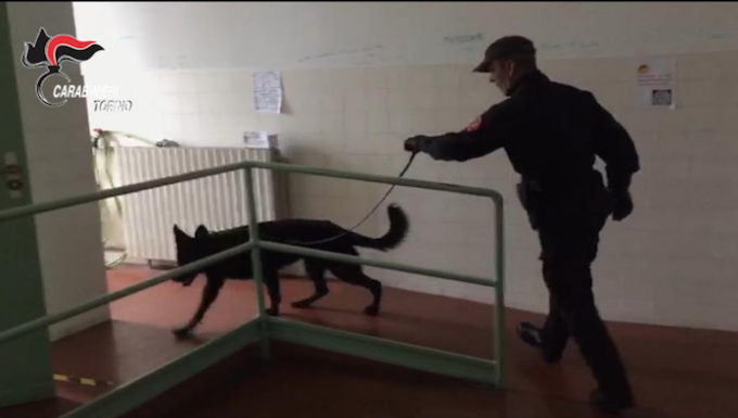 Torino: controlli antidroga dei Carabinieri a scuola