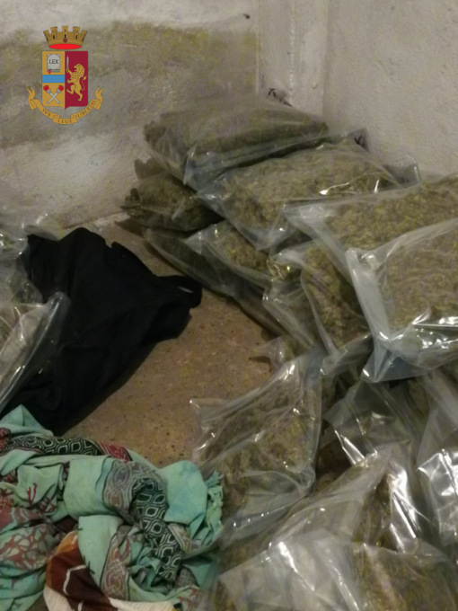Torino: sequestrati 72 kg di marijuana