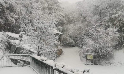 Neve in alta Val Borbera