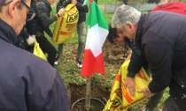 Alessandria, Giornata nazionale degli Alberi: 3 piante per i Vigili del fuoco