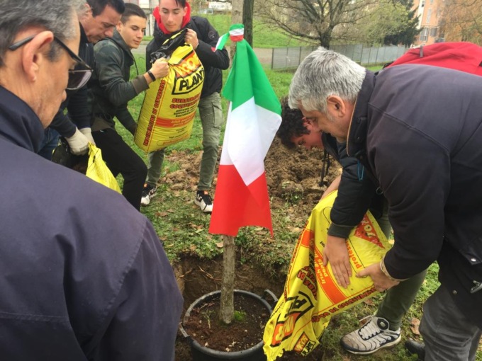 Alessandria, Giornata nazionale degli Alberi: 3 piante per i Vigili del fuoco